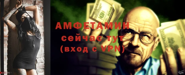 прущие грибы Беломорск