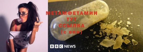 прущие грибы Беломорск