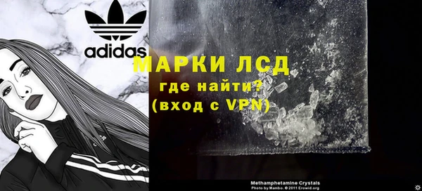 прущие грибы Беломорск