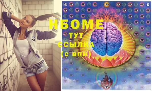 прущие грибы Беломорск