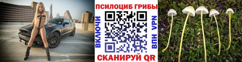 Галлюциногенные грибы ЛСД  кракен рабочий сайт  Кушва 